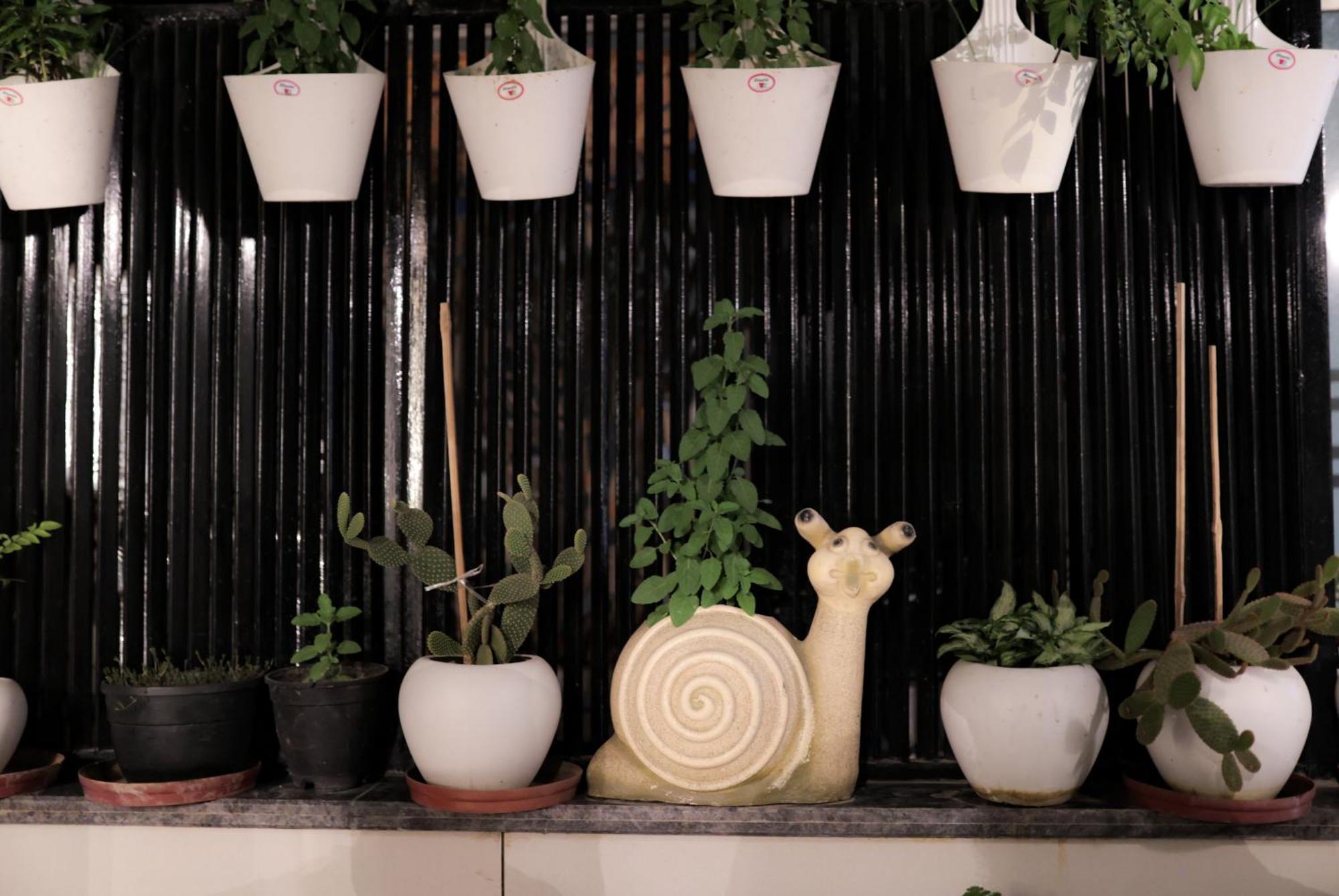 Hotel Stay Well Dx New Delhi Exterior foto